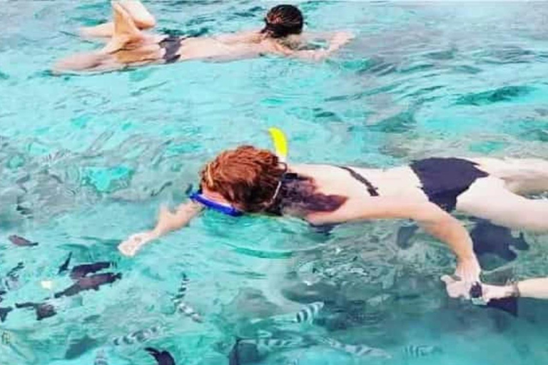 Zanzibar: prywatne nurkowanie w Błękitnej Lagunie i pływanie z rozgwiazdamiTransport do hotelu w dowolnym miejscu na Zanzibarze