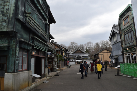 Privat rundtur i Edo-Tokyo med arkitektoniska friluftsmuseum5 timmars tur till Edo-Tokyo Open-Air Architectural Museum