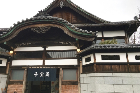 Edo-Tokyo Open–Air Architectural Museum 3–Hour Tour