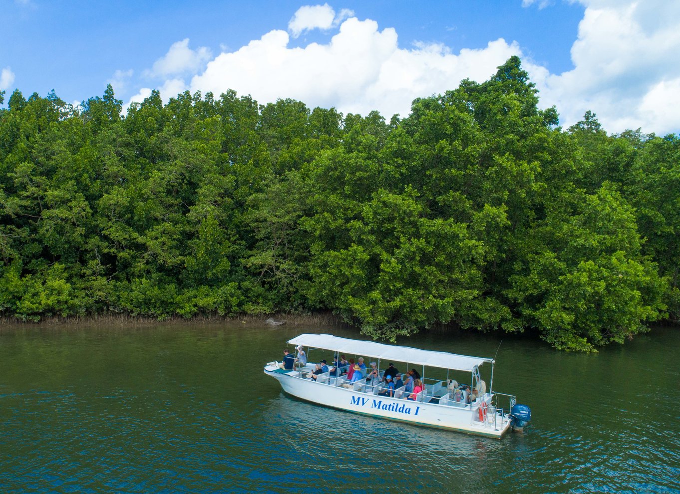 Fra Cairns: Daintree Rainforest & Cape Tribulation 4WD-tur