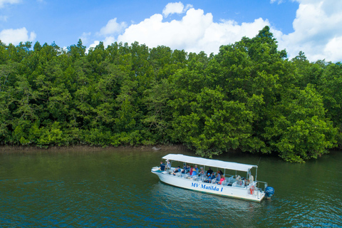 Från Cairns: Daintree Rainforest &amp; Cape Tribulation 4WD-turQueensland: Daintree &amp; Cape Tribulation 4WD-tur med upphämtning