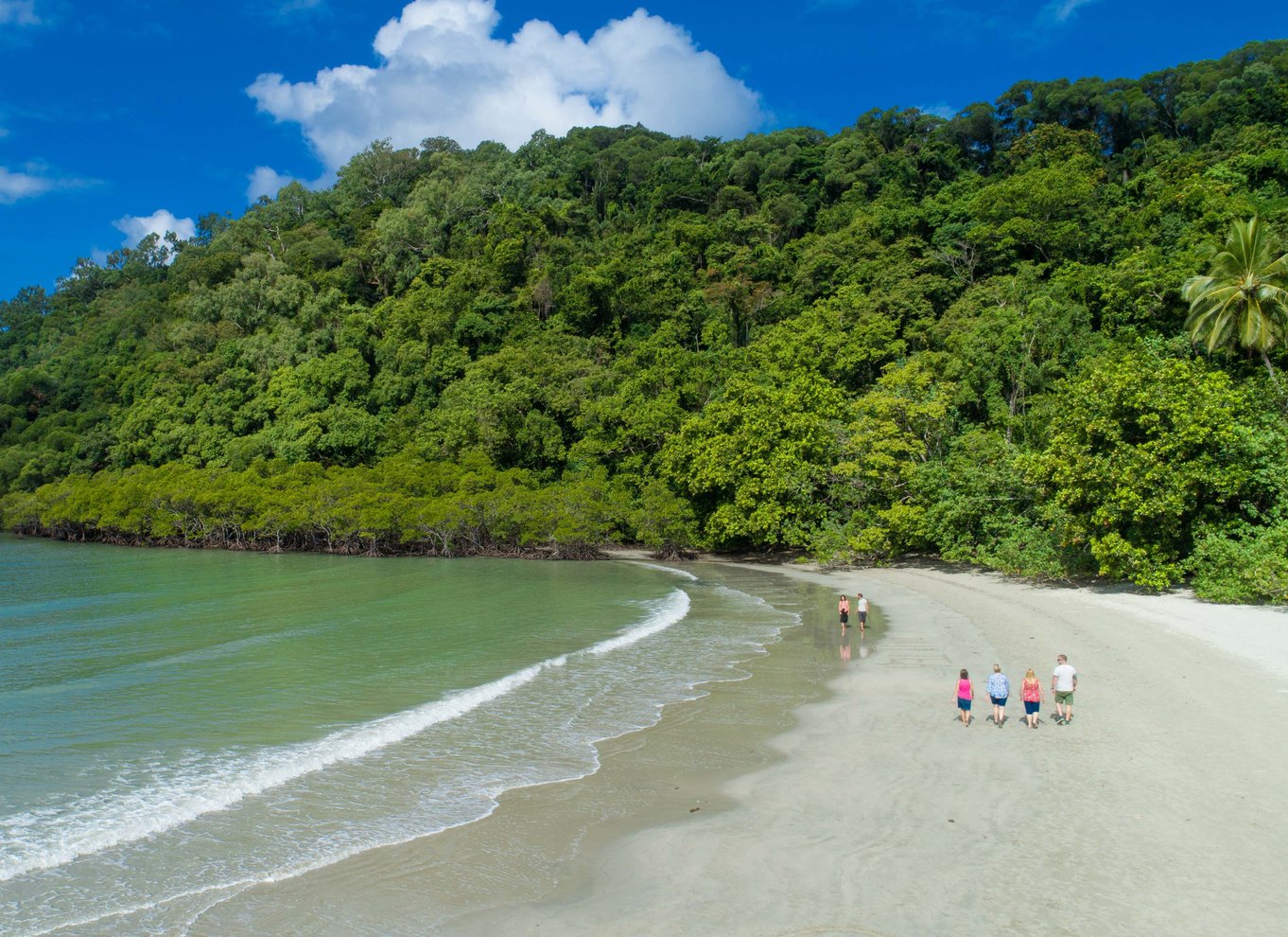 Fra Cairns: Daintree Rainforest & Cape Tribulation 4WD-tur