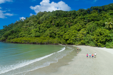 Daintree et Cape Tribulation : visite en petit groupe en 4x4Carte individuelle