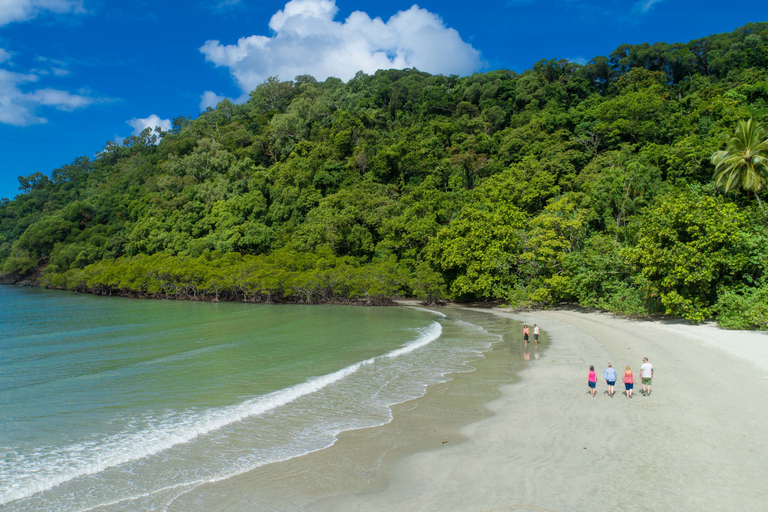 Daintree et Cape Tribulation : visite en petit groupe en 4x4Carte individuelle