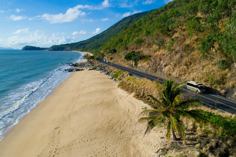 Från Cairns: Daintree Rainforest &amp; Cape Tribulation 4WD-turQueensland: Daintree &amp; Cape Tribulation 4WD-tur med upphämtning