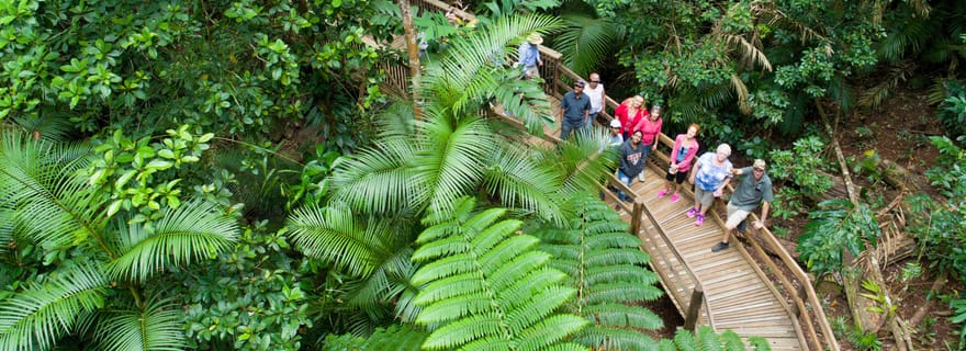 Da Cairns: Foresta pluviale di Daintree e tour di Cape Tribulation in fuoristrada