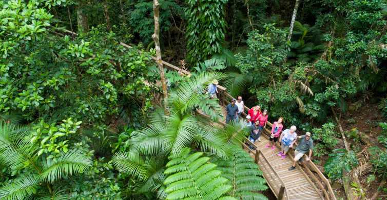 4wd tours daintree rainforest