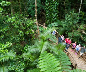 From Cairns: Daintree Rainforest & Cape Tribulation 4WD Tour
