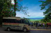 Aus Cairns, Daintree Rainforest & Cape Tribulation 4WD Tour - Housity