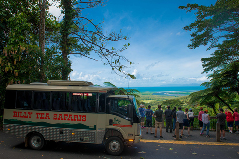 Daintree et Cape Tribulation : visite en petit groupe en 4x4Carte individuelle