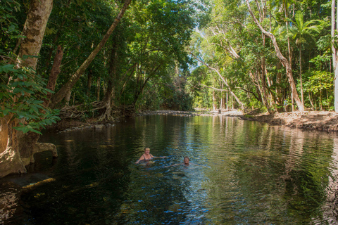 Daintree et Cape Tribulation : visite en petit groupe en 4x4Carte individuelle