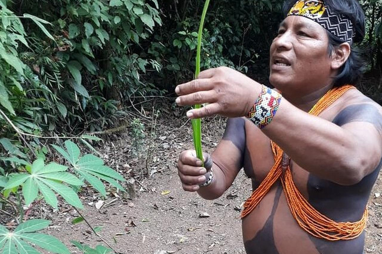 Cidade do Panamá: Excursão de um dia à Vila EmberaPasseio de um dia em Embera para dois adultos