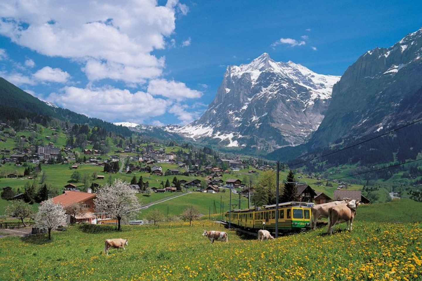 kleine scheidegg