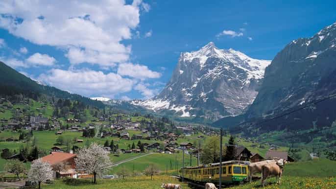 lucerne day trip to kleine scheidegg center of the alps