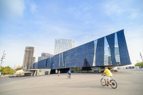 Van Barcelona: Alella Wine Tour per elektrische fiets