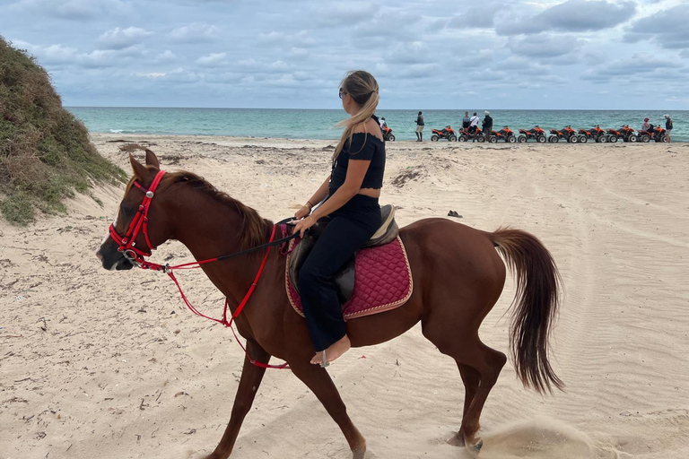 Djerba: Beginner Horse Riding Lesson for Adults and Children.