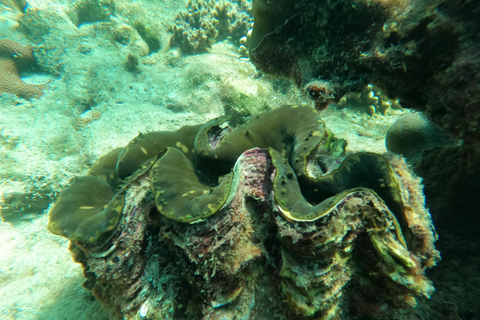 Koh Lanta: Excursión a 4 islas en lancha rápida con snorkel