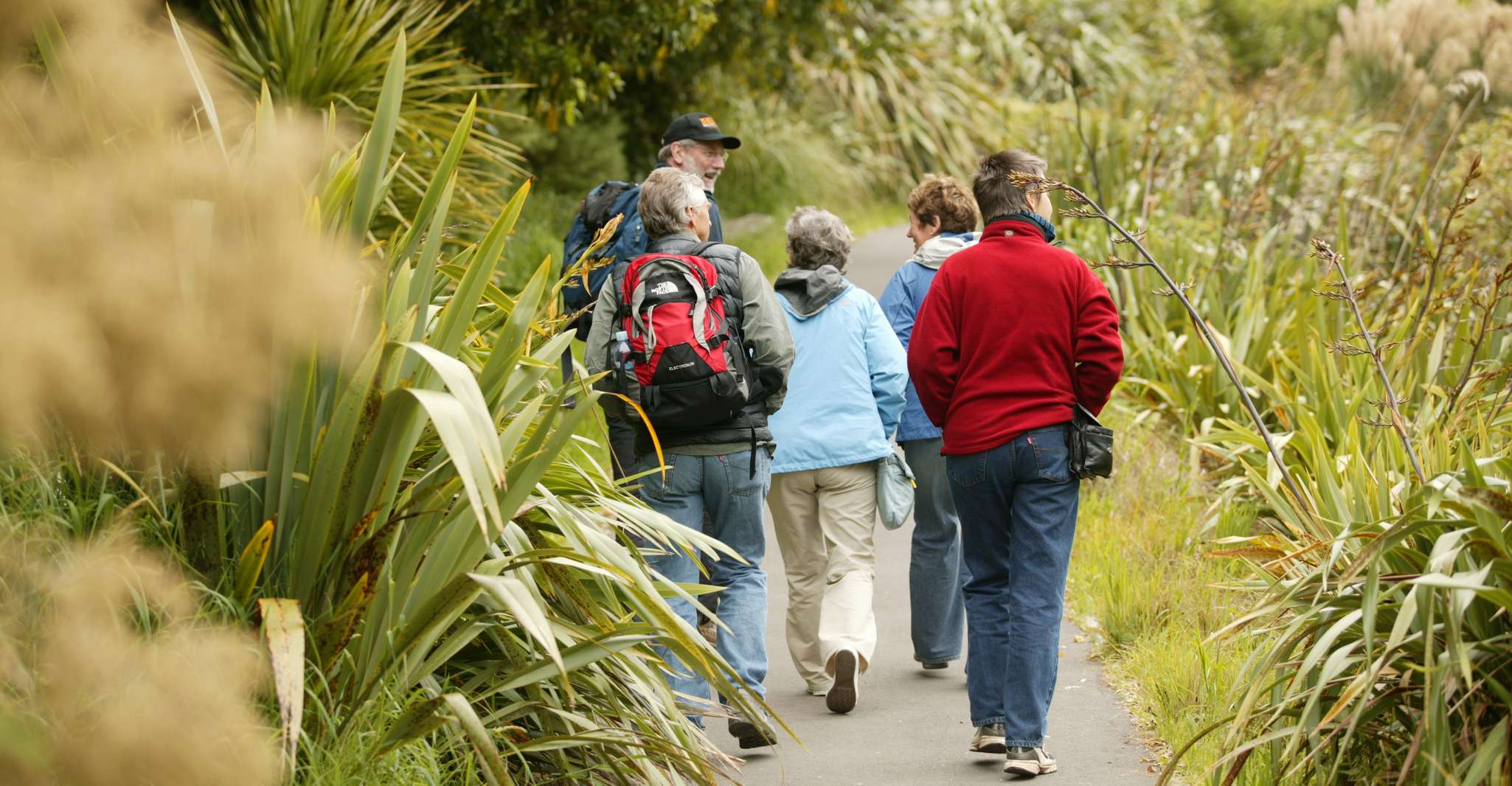 Zealandia by Day Tour - Housity