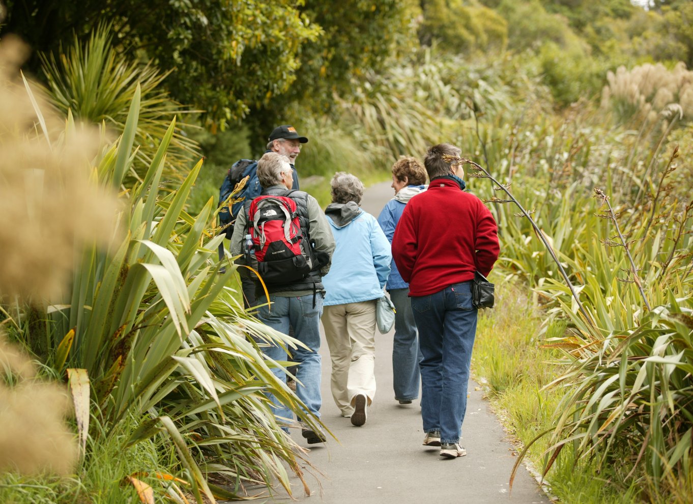 Zealandia på dagstur