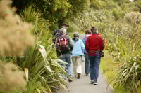 Zealandia by Day Tour - Housity