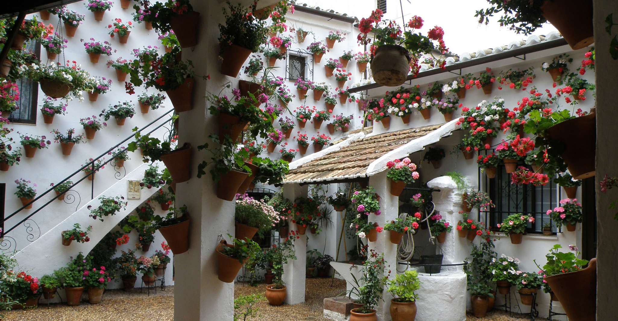 Córdoba, Patios Tour especial de Navidad a pie en español - Hizvo