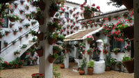 Córdoba, Patios Spezielle Weihnachtswanderung auf Spanisch - Hizvo