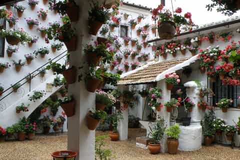Córdoba: Patios Special Christmas Walking Tour in Spanish