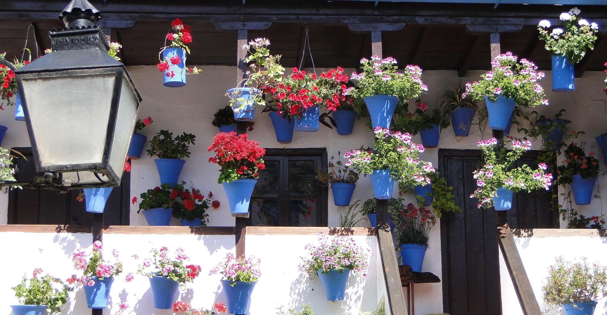 Córdoba, Patios Tour especial de Navidad a pie en español - Hizvo