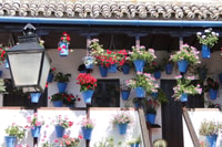 Córdoba, Patios Spezielle Weihnachtswanderung auf Spanisch - Hizvo