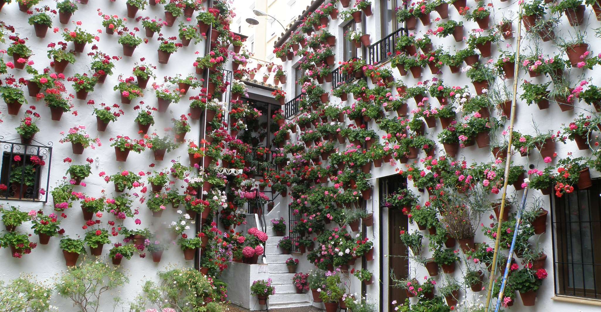 Córdoba, Patios Tour especial de Navidad a pie en español - Hizvo
