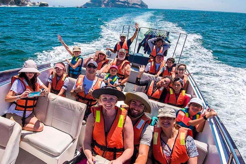 Callao: Palomino Islands Yacht Tour with Sea Lions Swim