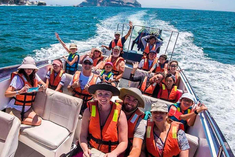 Callao: Palomino Islands Yacht Tour with Sea Lions Swim