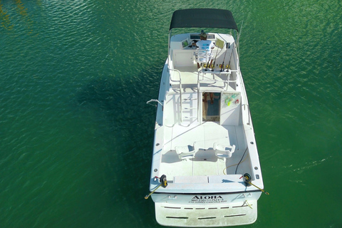 Private fishing charter 31 feet for maximun 6 people 2 hours Private fishing charter 31 feet for maximun 6 people