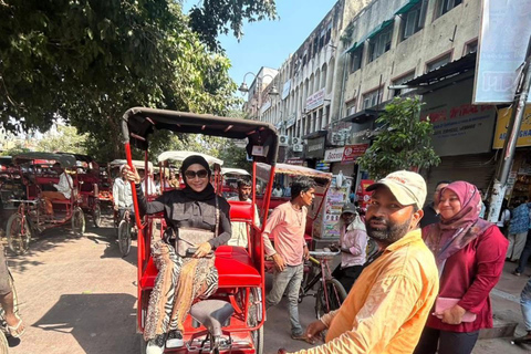 Descobre a Velha e a Nova Deli: excursão guiada de 1 dia ou de meio dia