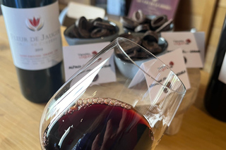 Libourne: Winery Tour with Wine and Chocolate Tasting