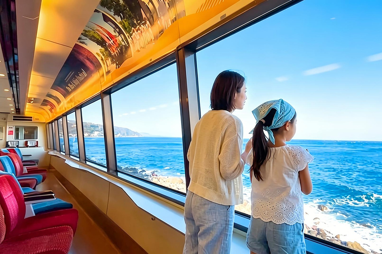 Small Group Day Tour:Omuro Mountain & the Izu Scenic Railway Hotel Transfer Option