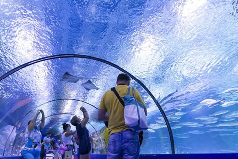 Antalya: Aquarium Tour with Hotel Pickup & Combo Options Antalya Aquarium & Wax Museum Entry Ticket