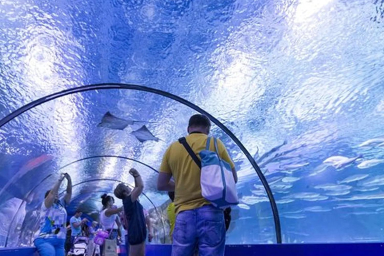 Antalya: Aquarium Tour with Hotel Pickup & Combo Options Antalya Aquarium & Wax Museum Entry Ticket
