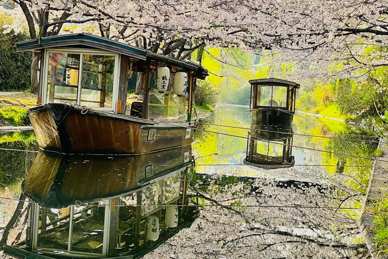 Kyoto and Nara: private tour with English speaking driver