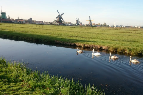 Zaanse Schans Windmills 4-godzinna wycieczka w języku włoskim