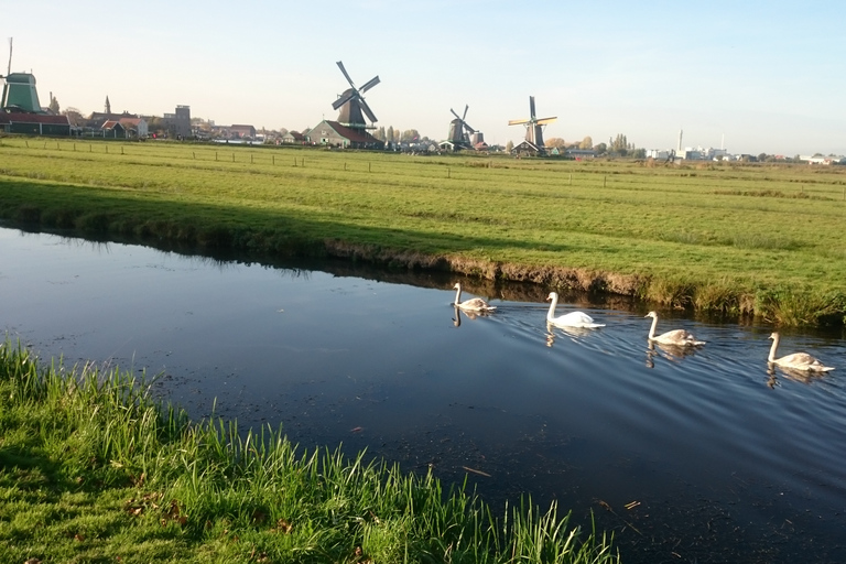 Tour di 4 ore dei mulini a vento di Zaanse Schans in italiano