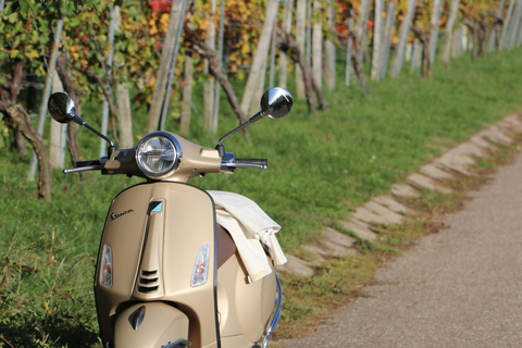 Leuven by Vespa - Guided Tour: city and highlights