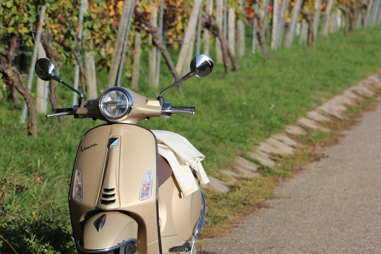 Leuven by Vespa - Guided Tour: city and highlights