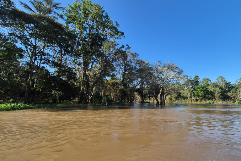 Manaus: Private Amazon Sunset and Night Tour by Speedboat