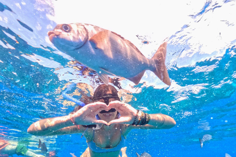 Playa del Carmen: On Board to Cozumel Tour with Lunch