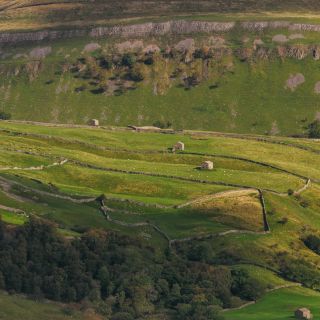 From Lake District: Full-Day Yorkshire Dales Tour