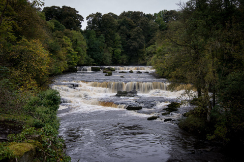 Från Lake District: Yorkshire Dales Tour med en hel dagMed avgång från Bowness