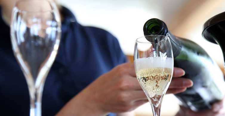 Des de París: Excursió d'un dia a la regió de Champagne amb degustacions i dinar