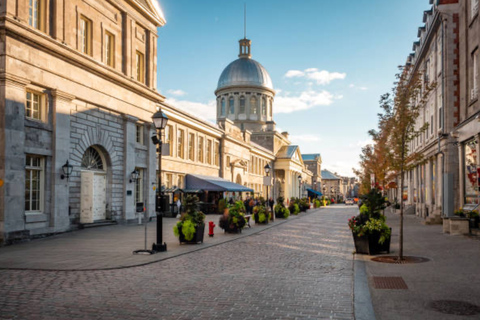 Montreal: Private Family-Friendly Underground City Tour