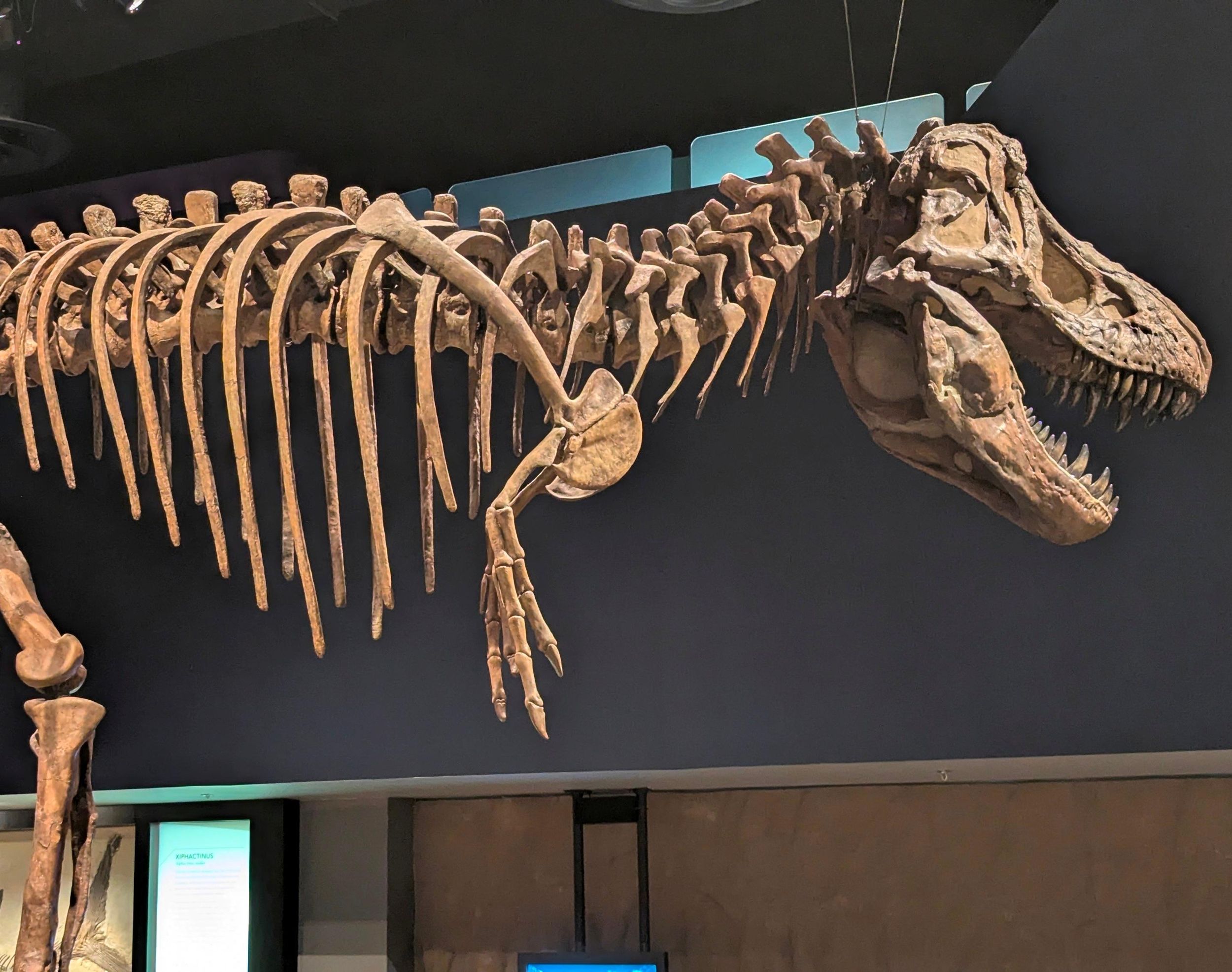 Ab Calgary: Geführte Tagestour durch die Drumheller Badlands